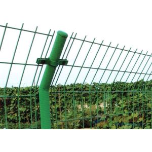 圈果园用什么样的护栏网和立柱