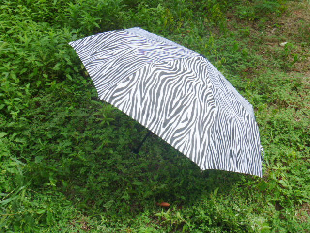 三折伞斑马伞晴雨伞遮阳伞广告伞