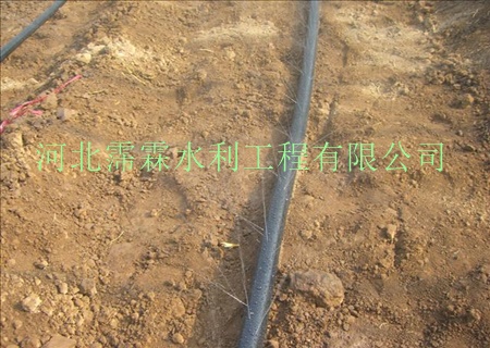 山东供应喷水软管/微喷带节水器材/价格低