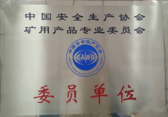 斯达荣获 “中国安全生产协会委员单位”荣誉称号