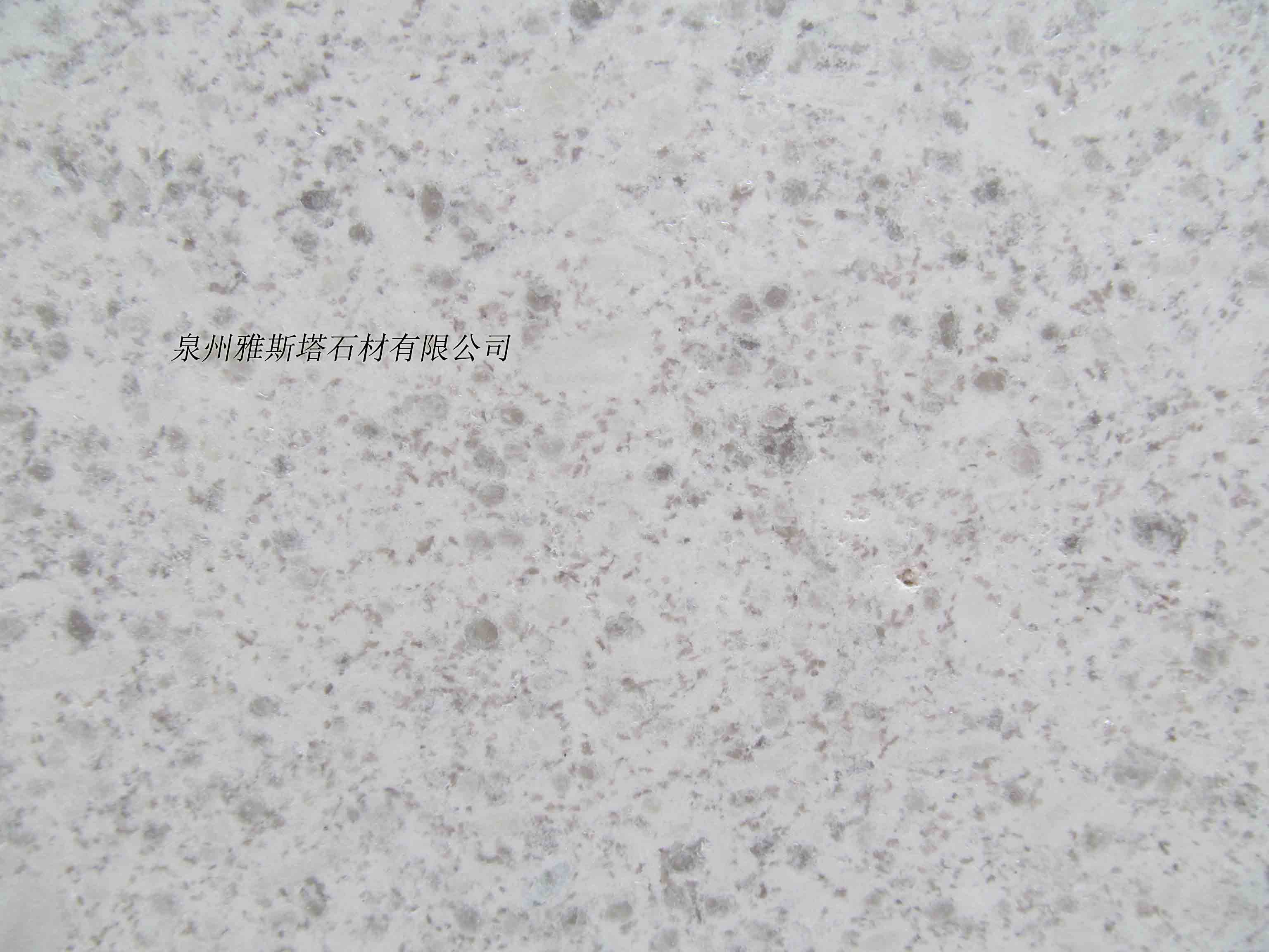 江西珍珠白花岗岩 出口高品质台面板 规格板 工厂直销