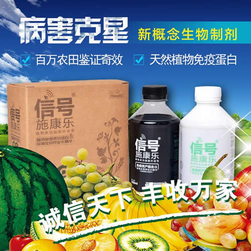 真正植物疫苗，有效预防枣疯病、叶枯病、黑腐病