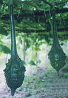 优质观赏葫芦种子销售 鹤首葫芦种子袋装批发