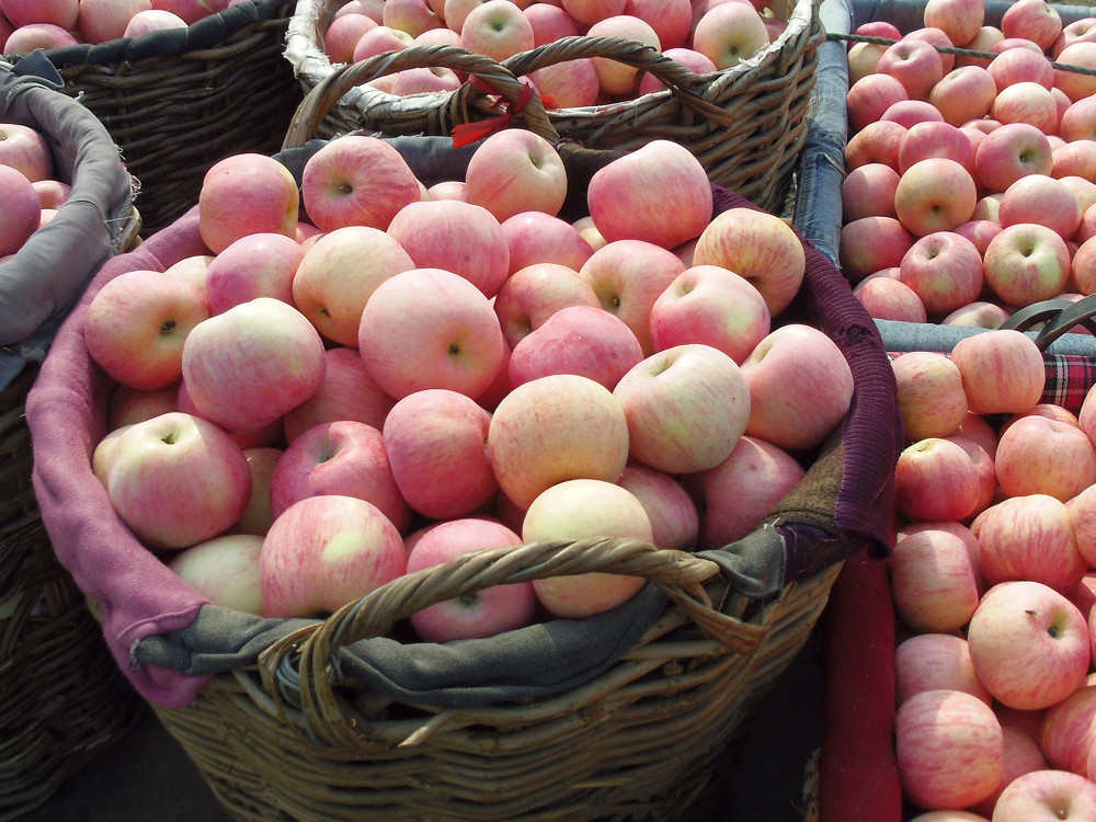 红富士苹果什么地方的价格便宜的苹果质量好