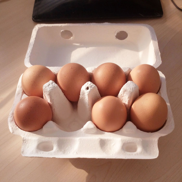 8枚装白色鸡蛋托 纸浆蛋托 鸡蛋包装盒 鸡蛋托盘 纸蛋托 纸浆盒 厂家直供纸浆模塑制品 纸浆包装 纸浆托盘 可拿样定制各规格产品