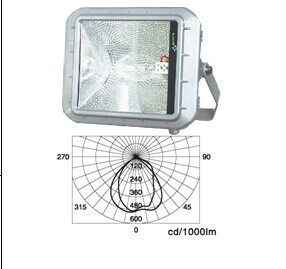 上海宝临厂家直销GT－I型系列固定式投光灯具防爆灯防爆外壳