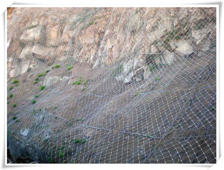 厂家直销安平建泰丝网用于防止山体滑坡的主动型sns边坡防护网