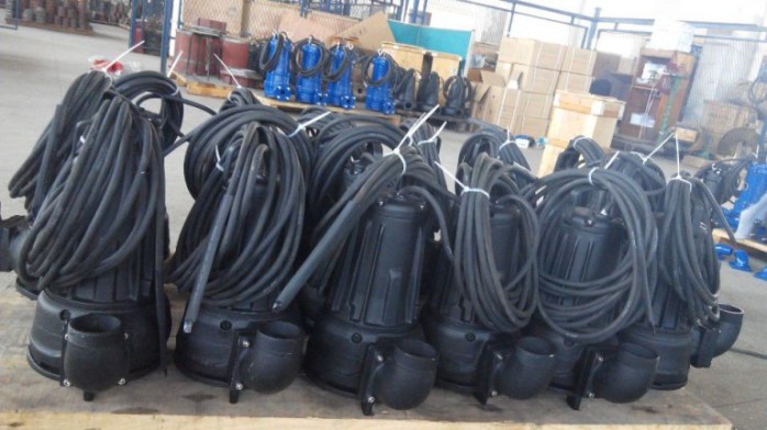 三相立式排污泵 50WQ10-15-1.5 南京棠盛泵业直销wq型排污泵
