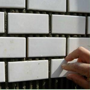 江西南昌市瓷砖粘结砂浆生产线