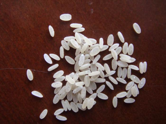 葛根速食米设备机器生产线