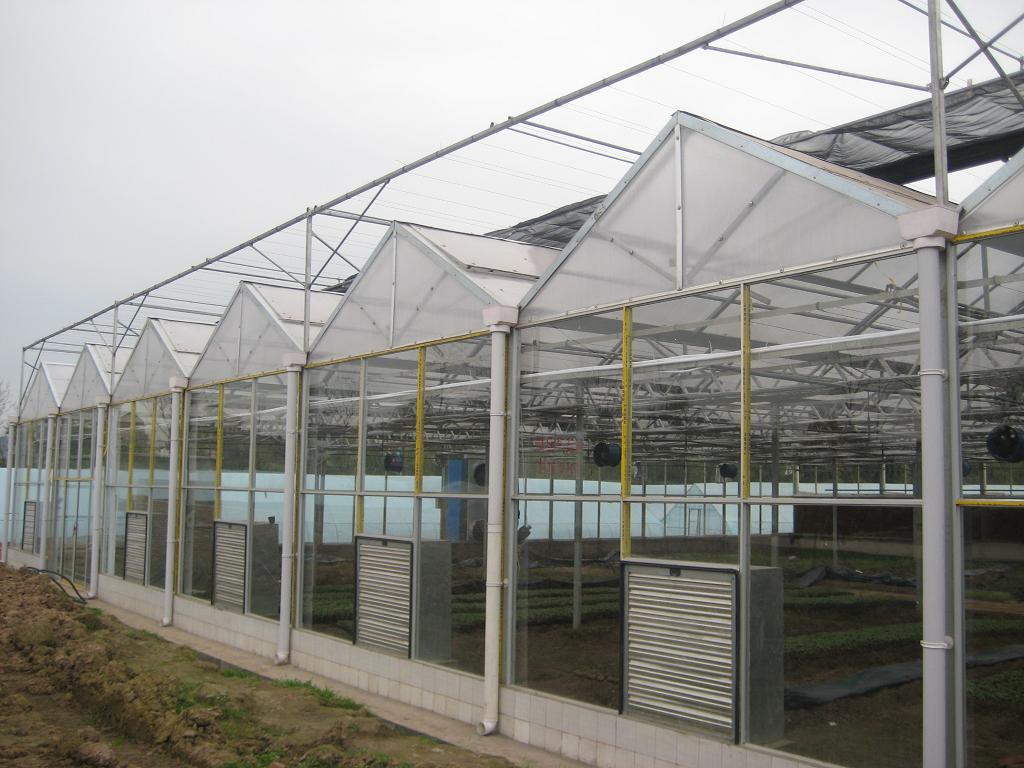 塑料大棚养殖阳光板造价 蔬菜大棚阳光板造价