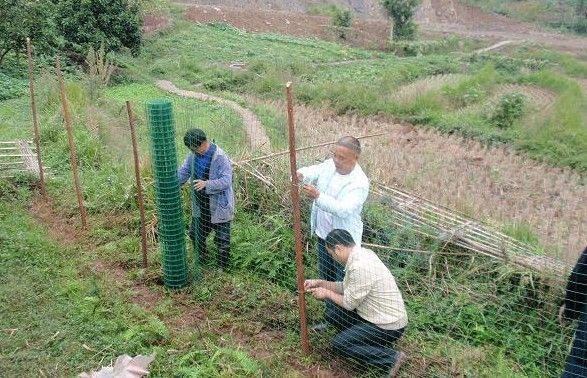 伊林现货本溪山地三养鸡围栏网价格/山地养鸡围栏