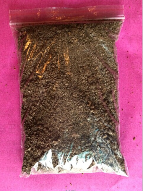绿蚂蚁**肥--养分足！长期供应！纯粮食下脚料制作