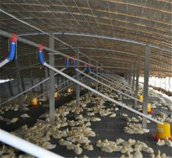 嘉汇农牧公司行业成员之一的鸭用养殖喂料线