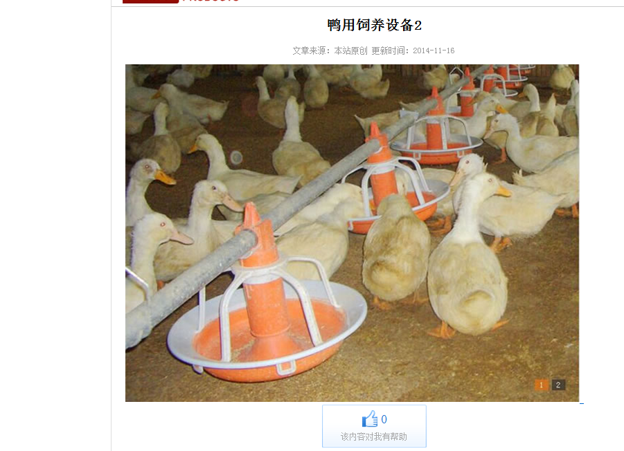 2016养殖鸭用喂养设备 鸭用喂养系统直销价格
