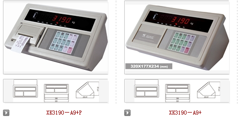 上海耀华电子秤显示器ＸＫ3190-A9+P价格