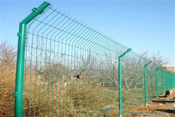 河北厂家供应养牛养猪用铁丝网护栏 农牧场养殖用防护隔离网