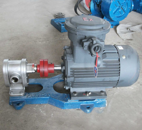 供应2CY不锈钢齿轮泵，不同材质的2CY系列齿轮泵 泊头市翼扬泵业生产