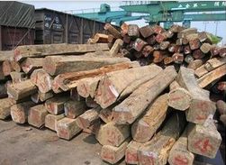广东木材进口报关公司|广东木材机械进口报关 东莞木材进口报关公司