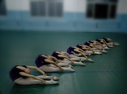 专业室内舞蹈地胶、舞蹈教室地胶北京
