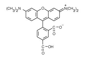 荧光5 - 羧基四甲基罗丹明标记_酯溶性5 - 羧基四甲基罗丹明标记