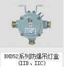 BHD52系列防爆吊灯盒 IIB、IIC