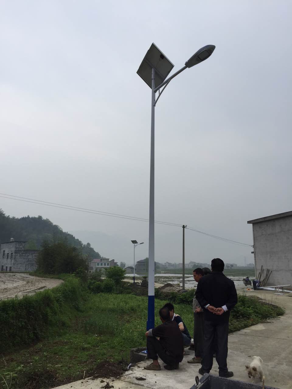 萍乡上栗农村太阳能路灯价格一个 6米太阳能LED路灯价钱
