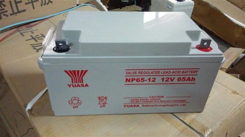 汤浅 YUASA NPL65-12 汤浅免维护蓄电池12V65AH 低价现货供应