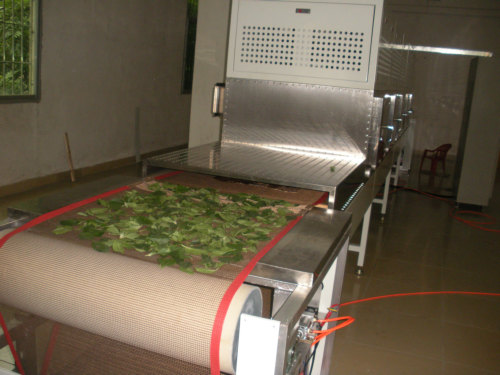 菊花干燥设备|微波干燥设备