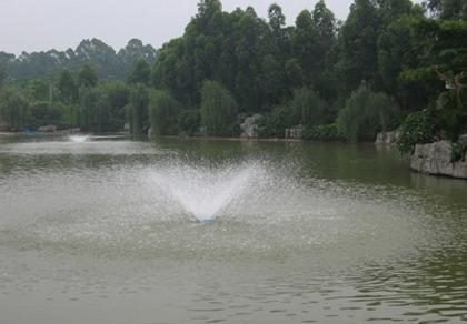 台州浮水泵批发 用于水产养殖