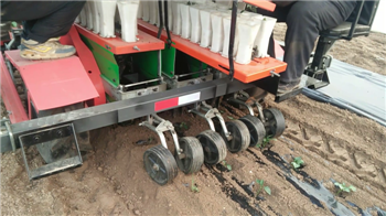 2015年新款旱地秧苗移栽机，栽植机，栽苗机，种植机械