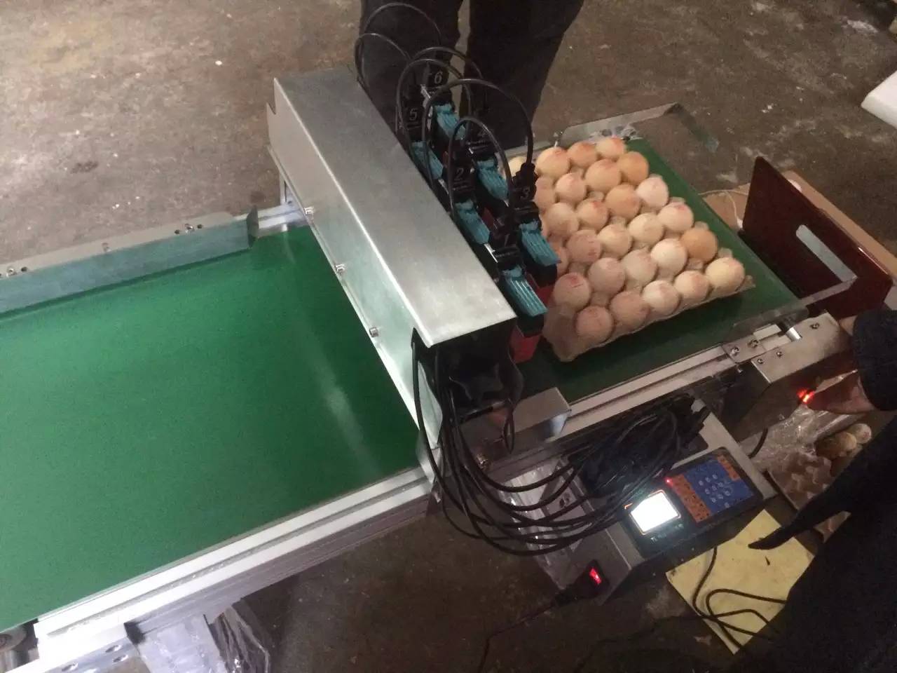 鸡蛋日期喷码机 红墨绿墨可食用级墨水喷码机 鸡蛋简易打码机