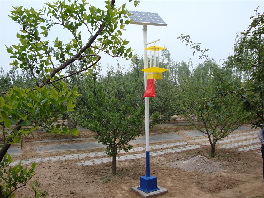 康庄照明厂家直销3米-4米太阳能杀虫灯价格、杀虫灯太阳能路灯厂家价格