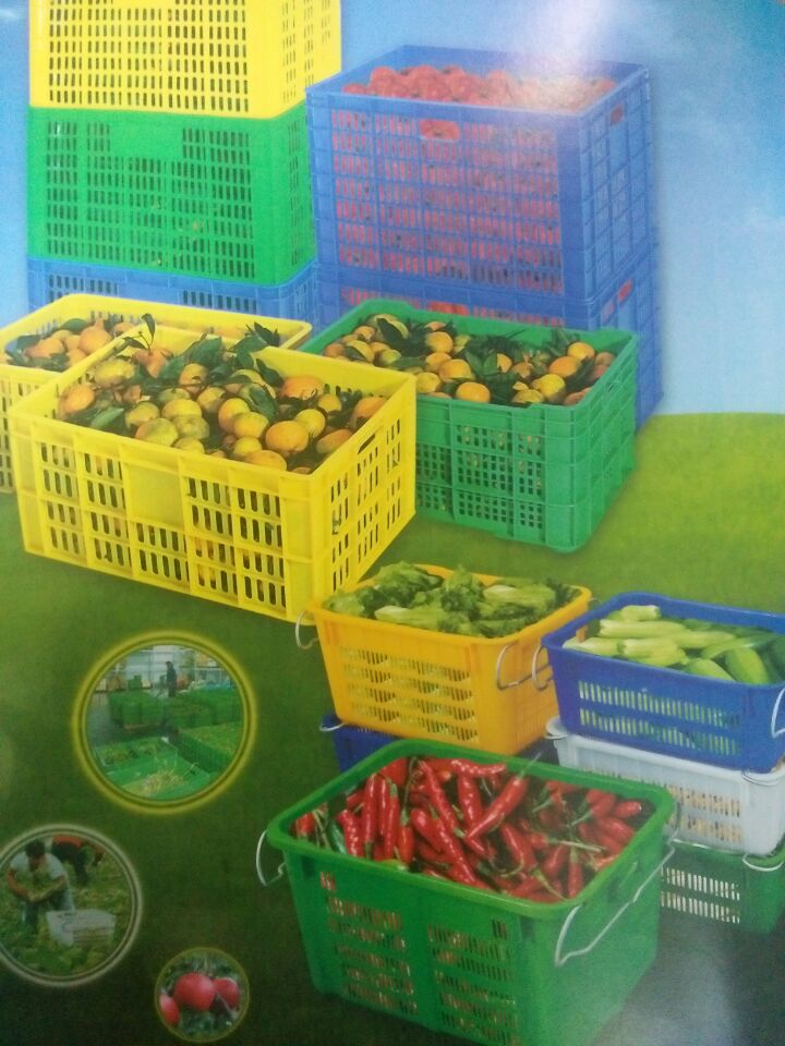 供应崇左塑料萝、塑胶萝、周转萝、水果萝、菜萝、水果筐、塑料筐、塑料蓝