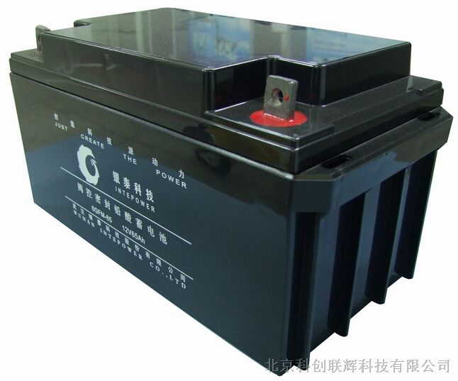 银泰蓄电池6GFM-100银泰铅酸免维护蓄电池12V65AH
