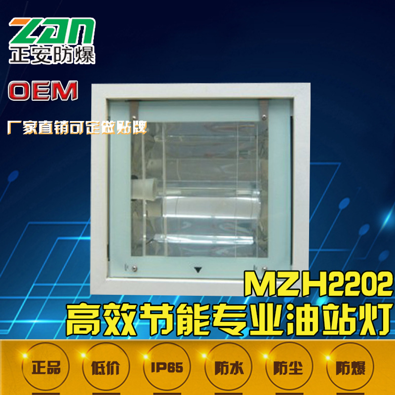 工业固定照明MZH2202节能光效高特殊光源防腐性高