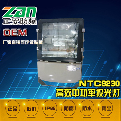 适用各种场所NTC9230大功率投光灯寿命长光效高耐腐蚀