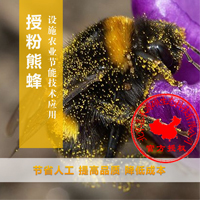 熊蜂价格丨熊蜂授粉丨熊蜂授粉技术丨北京嘉禾源硕