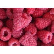 2016树莓鲜果/青藏高原树莓销售