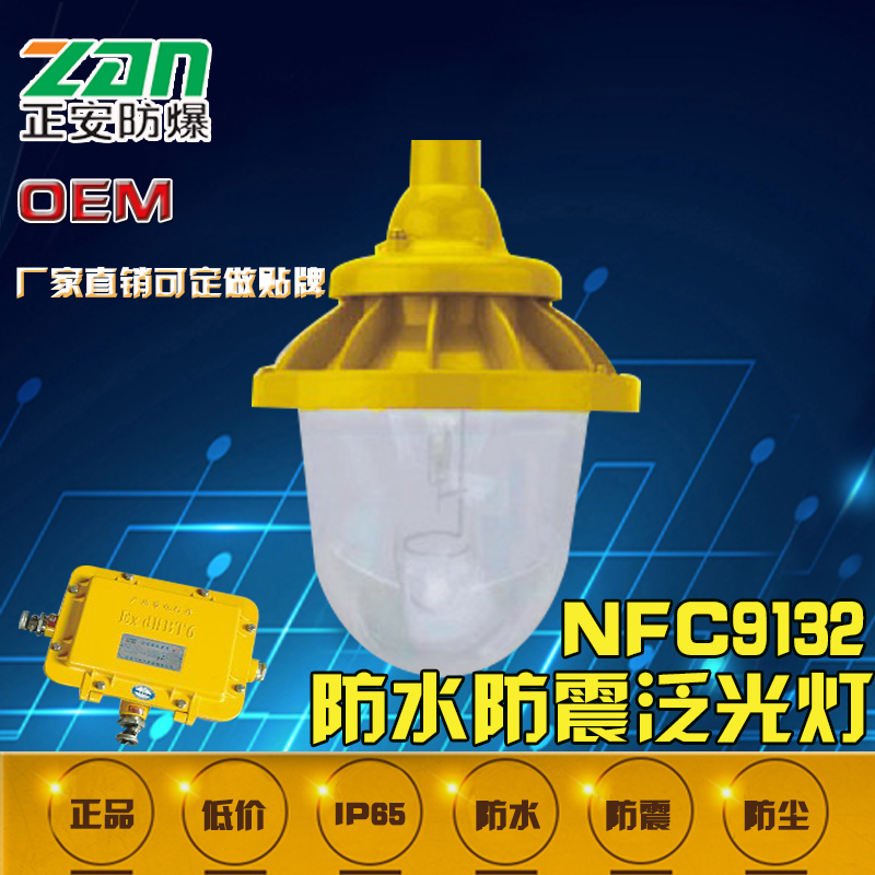NFC9132防水防震泛光灯