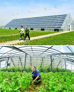 弘太阳 光伏农业温室大棚、蔬菜大棚太阳能光伏发电、光伏大棚造价、河南郑州及周边地区