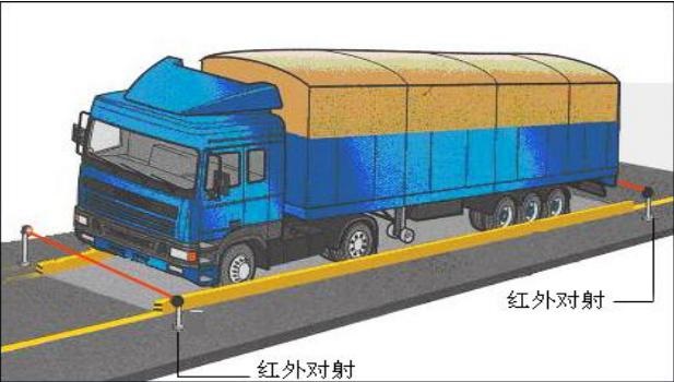 电厂管理信息系统-MIS - 西安宏树电子科技有限公司