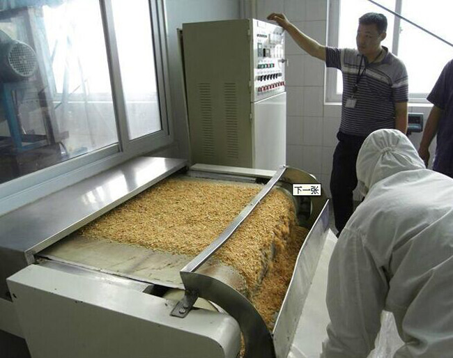 可连续工作24小时 五谷杂粮低温微波熟化机械 即食五谷豆浆原料微波烘焙设备