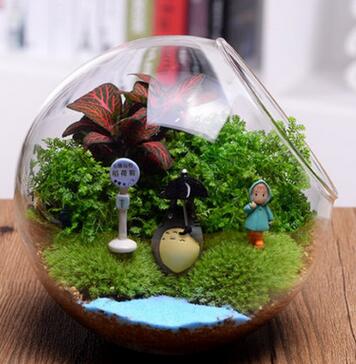 微景观 大中小号 斜口玻璃瓶 苔藓多肉微景观DIY造景生态瓶微景观