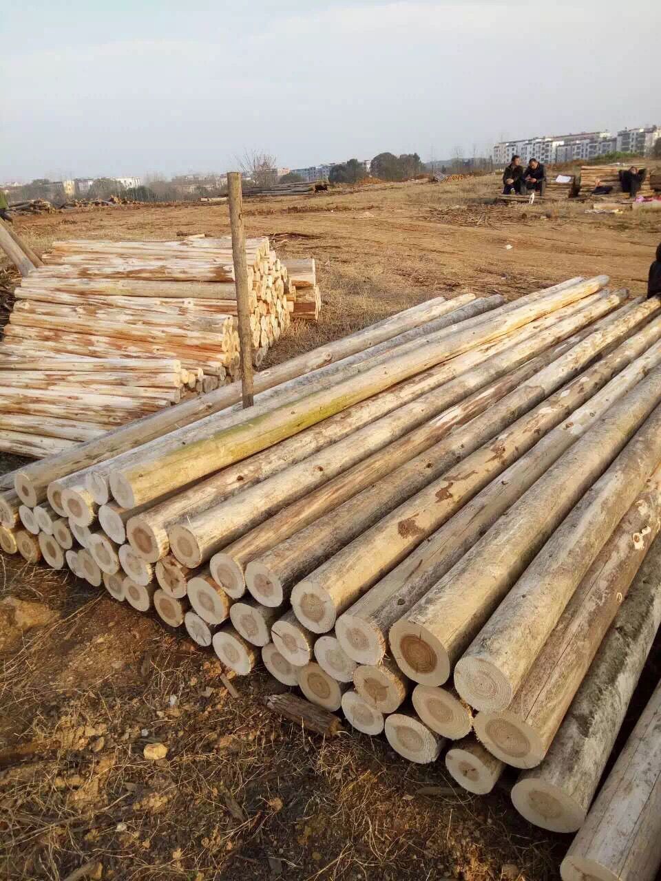 北京有卖杉木杆