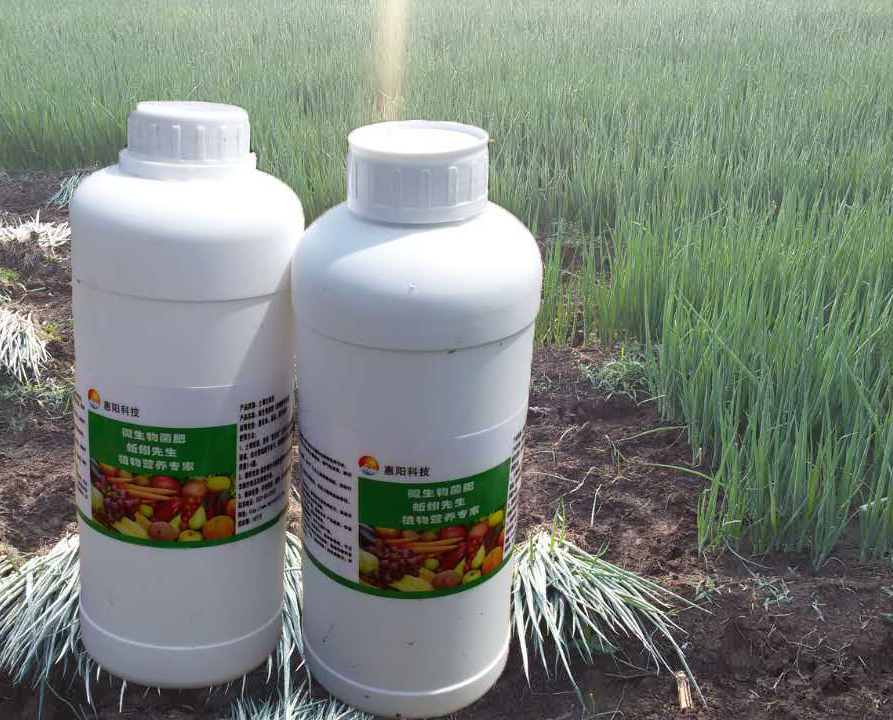 生物菌肥,改善土壤板结返重茬,提高作物口感,增加产量8 -20
