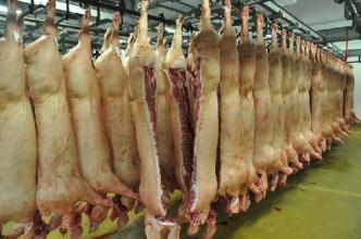 西班牙猪肉进口清关关税增值税多少\/综合税率