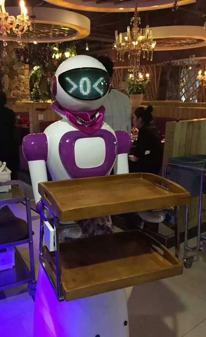 无轨道送餐服务机器人