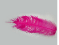 供应美观羽毛工艺品 新款式羽毛绒条 时尚装饰羽毛