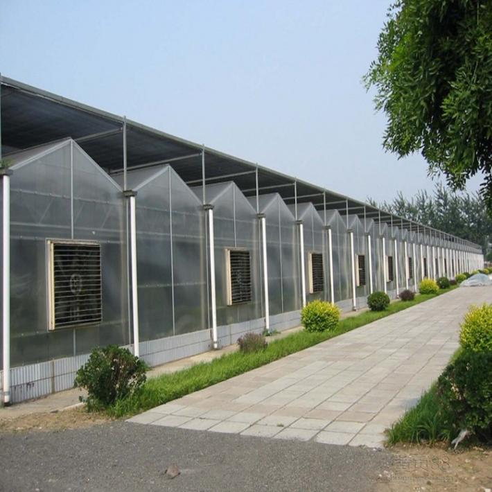专业智能阳光板温室建设 湖南智能阳光板温室